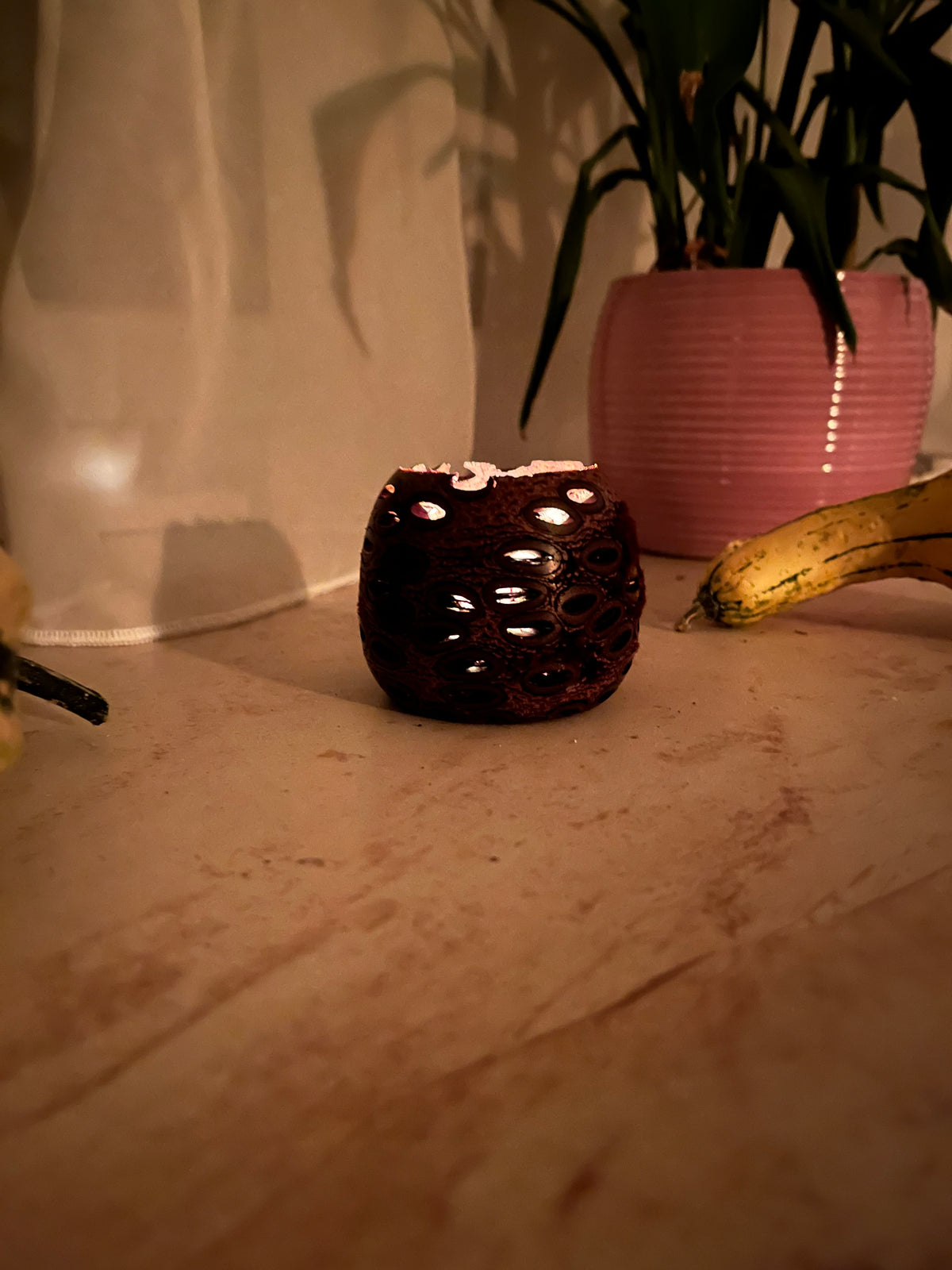 Banksia Mini Üreges Mécsestartó